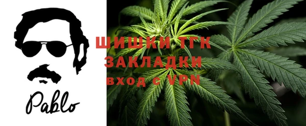 прущие грибы Покров