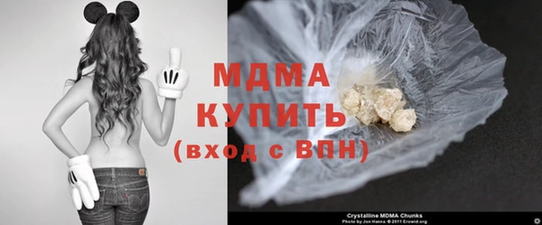 прущие грибы Покров