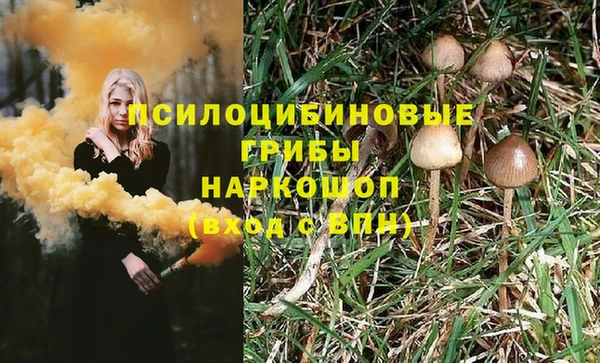 прущие грибы Покров
