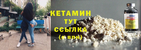 прущие грибы Покров
