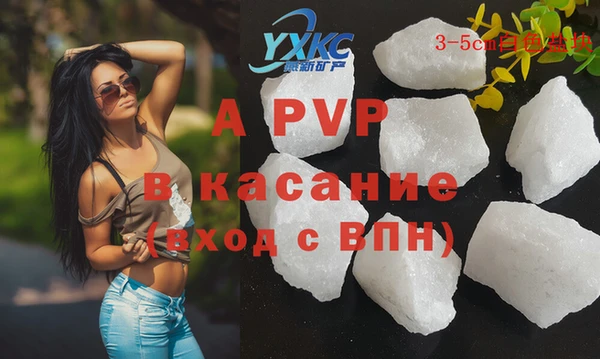 прущие грибы Покров
