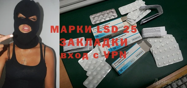 прущие грибы Покров